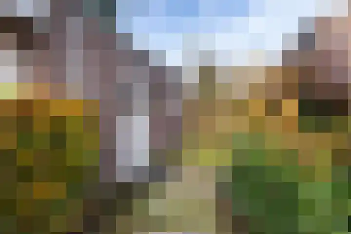 Holtrichtersveld 801 Apeldoorn thumbnail 25