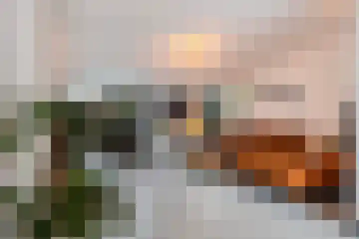 Holtrichtersveld 801 Apeldoorn thumbnail 4