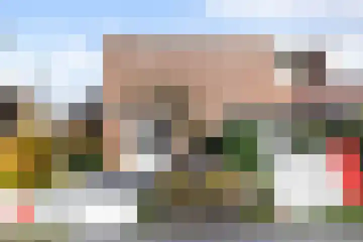 Holtrichtersveld 801 Apeldoorn thumbnail 45