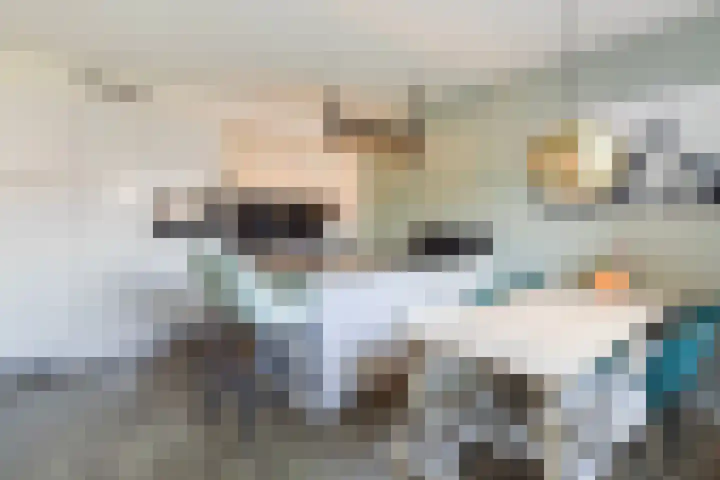Holtrichtersveld 903 Apeldoorn thumbnail 12