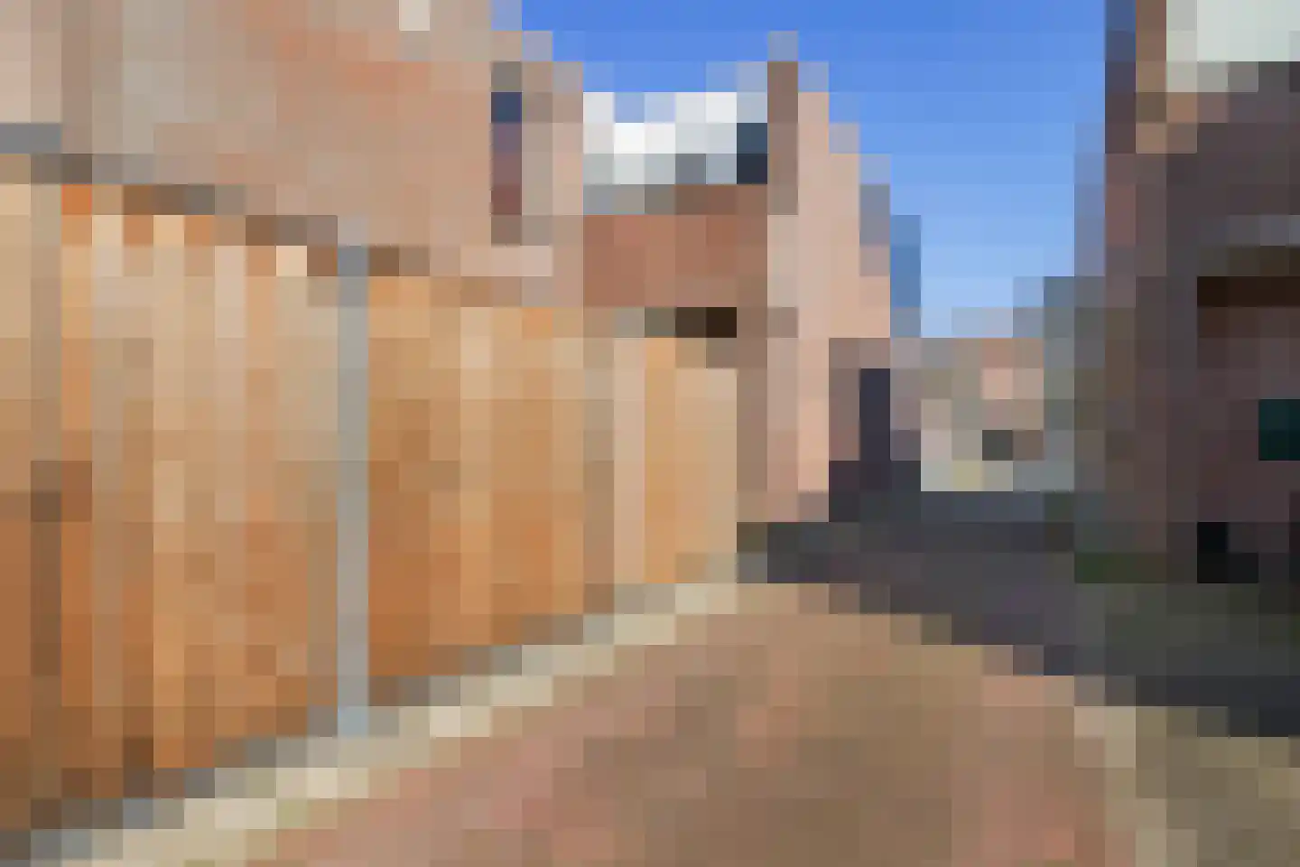Holtrichtersveld 903 Apeldoorn thumbnail 30