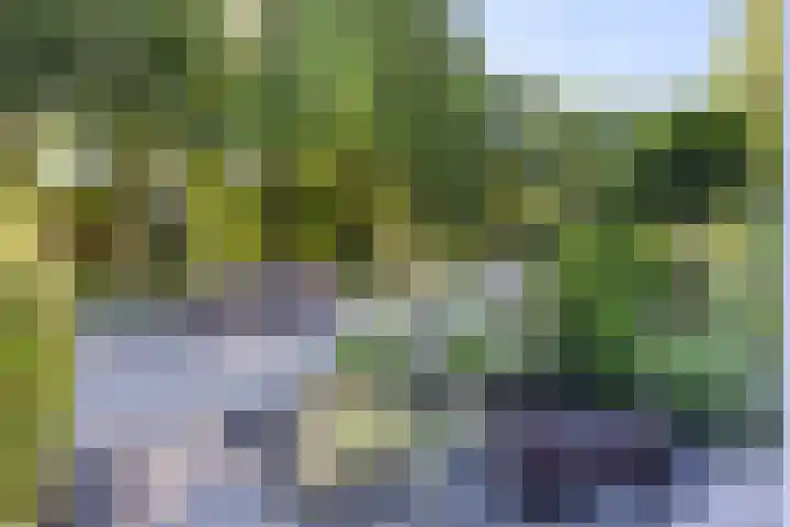 Holtrichtersveld 96 Apeldoorn thumbnail 11