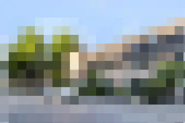 Holtrichtersveld 96 Apeldoorn thumbnail 29