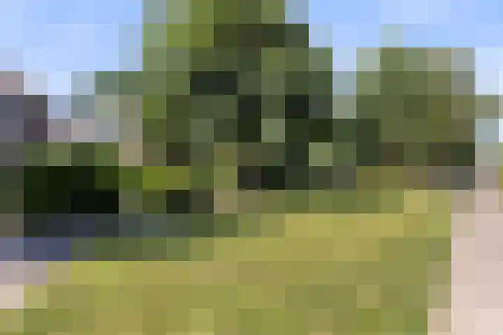 Holtrichtersveld 96 Apeldoorn thumbnail 31
