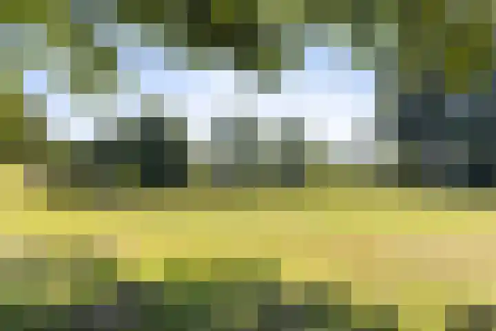 Holtrichtersveld 96 Apeldoorn thumbnail 32