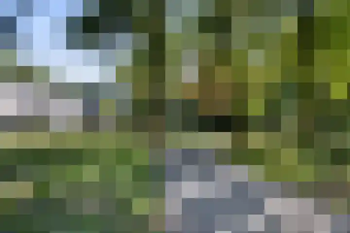 Holtrichtersveld 96 Apeldoorn thumbnail 33