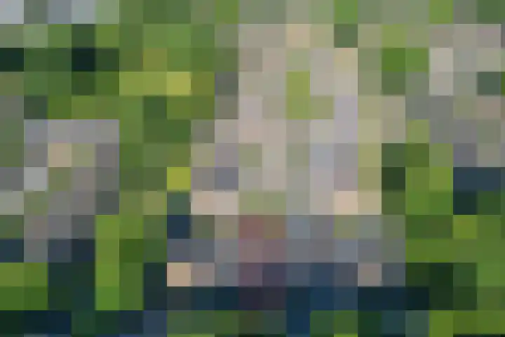 Holtrichtersveld 96 Apeldoorn thumbnail 34