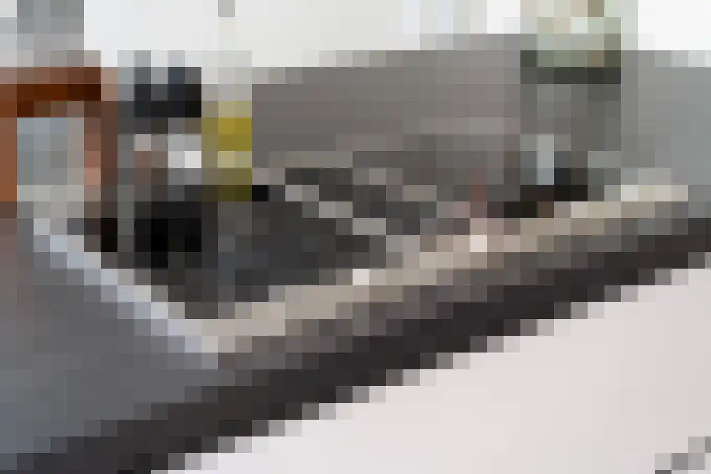 Holtropweg 15 IJlst thumbnail 25