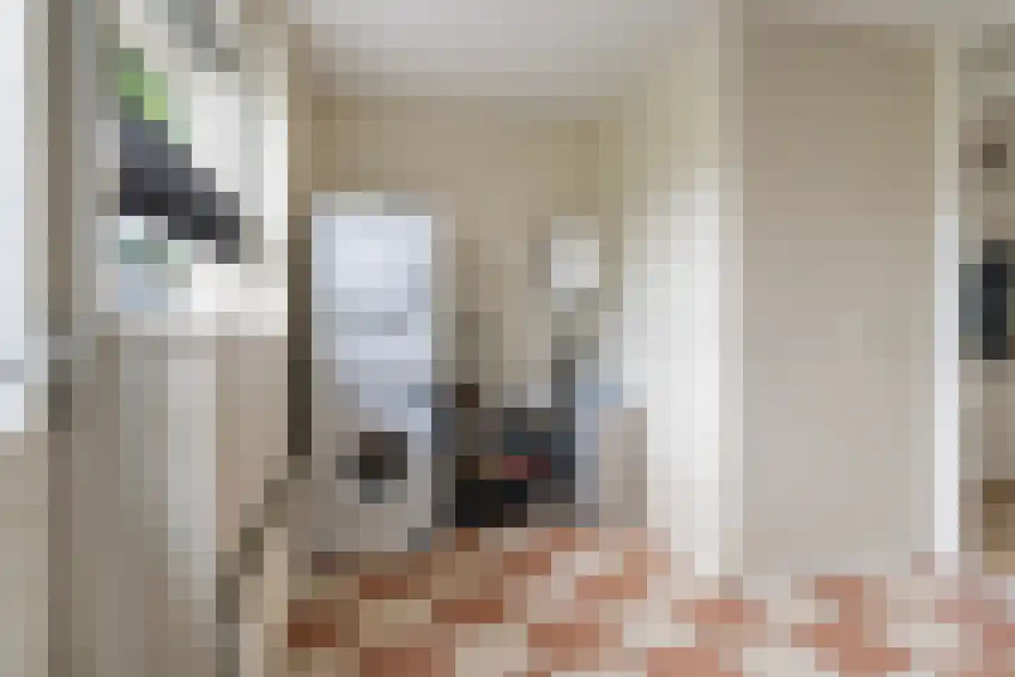 Holtropweg 15 IJlst thumbnail 28