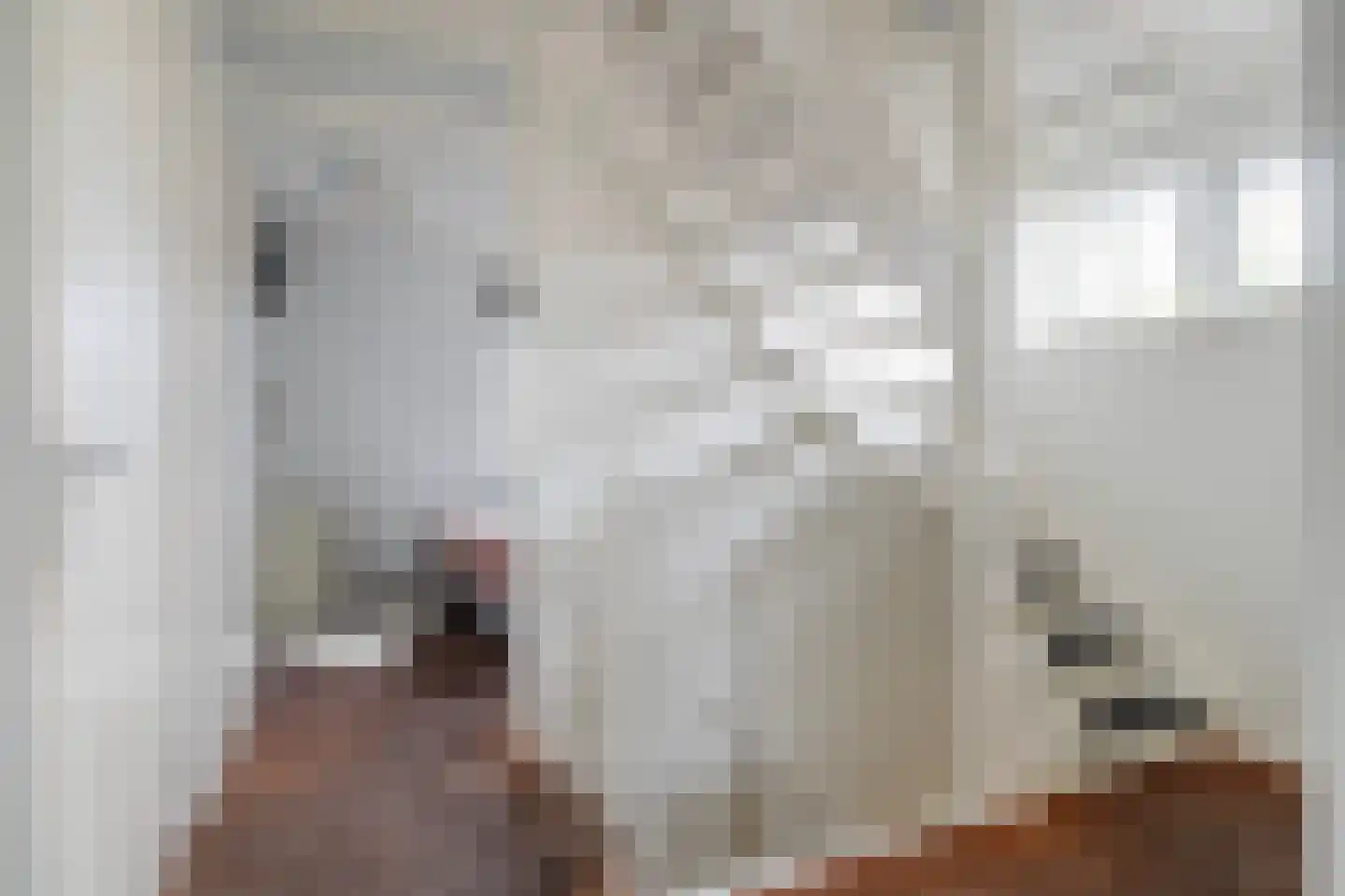Holtropweg 15 IJlst thumbnail 33