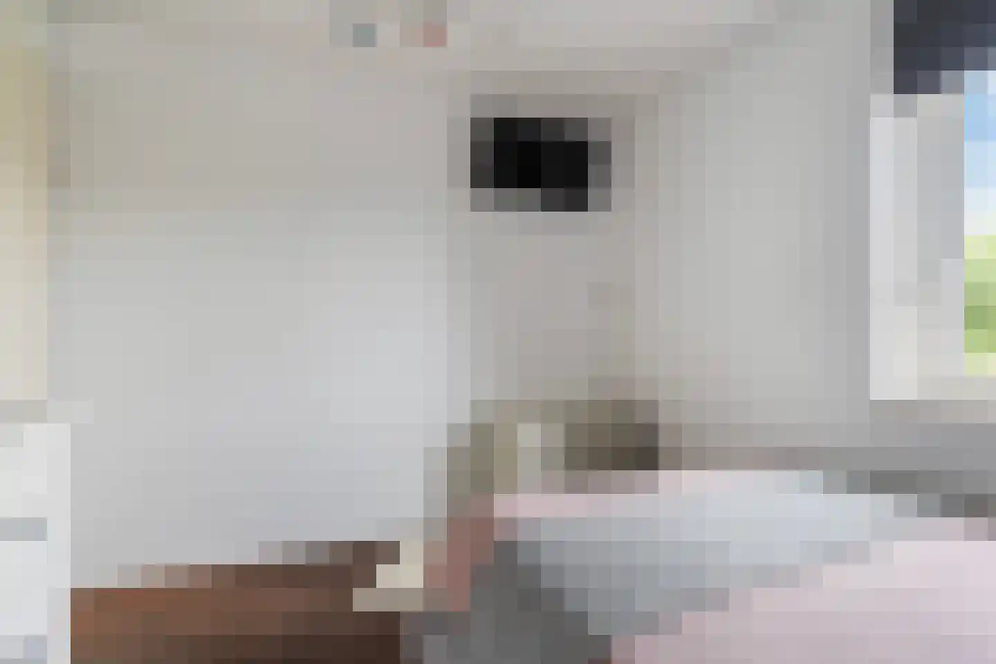 Holtropweg 15 IJlst thumbnail 34