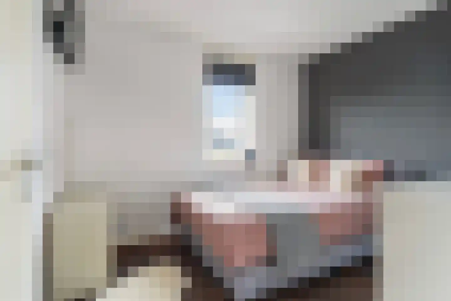 Holtropweg 15 IJlst thumbnail 35