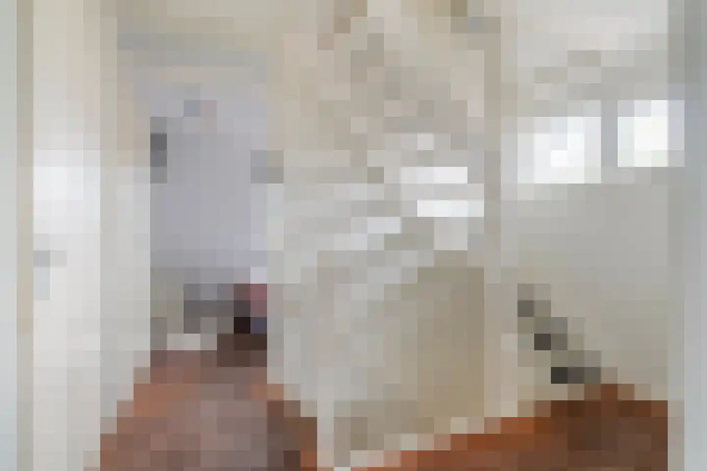 Holtropweg 15 IJlst thumbnail 38