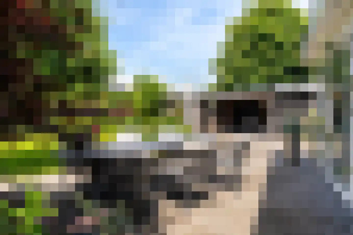 Holtropweg 15 IJlst thumbnail 52