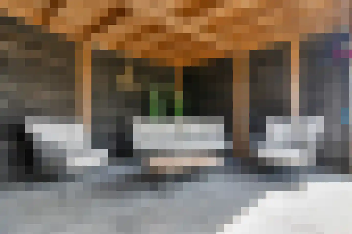 Holtropweg 15 IJlst thumbnail 54