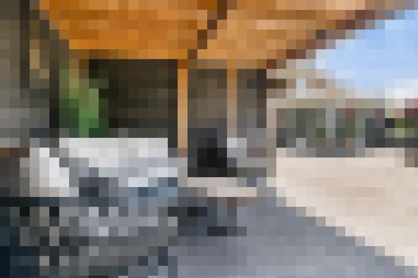 Holtropweg 15 IJlst thumbnail 55