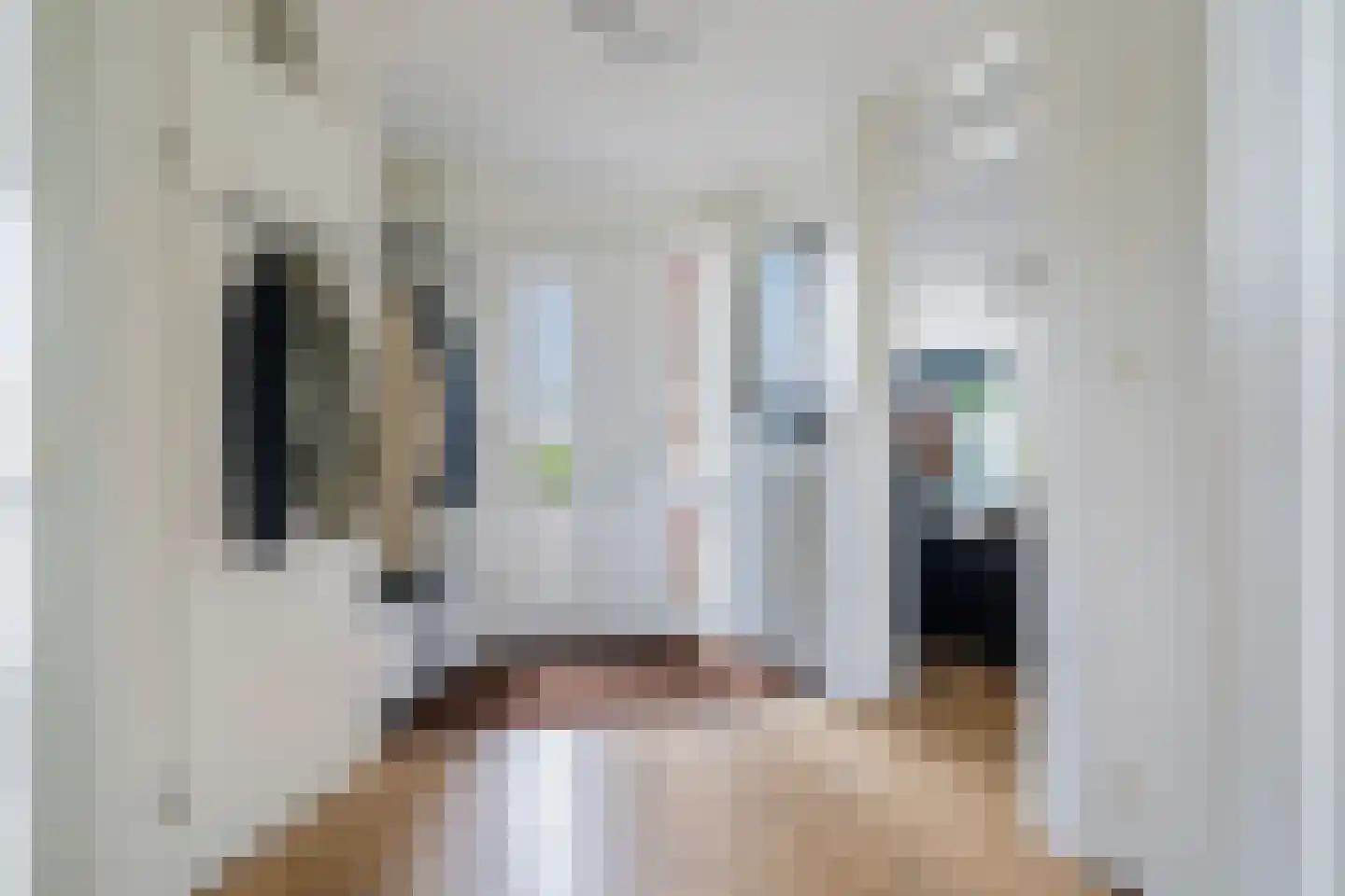 Holtropweg 15 IJlst thumbnail 7