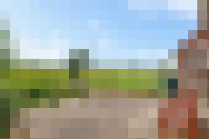 Holtrustweg 16 Rouveen thumbnail 10