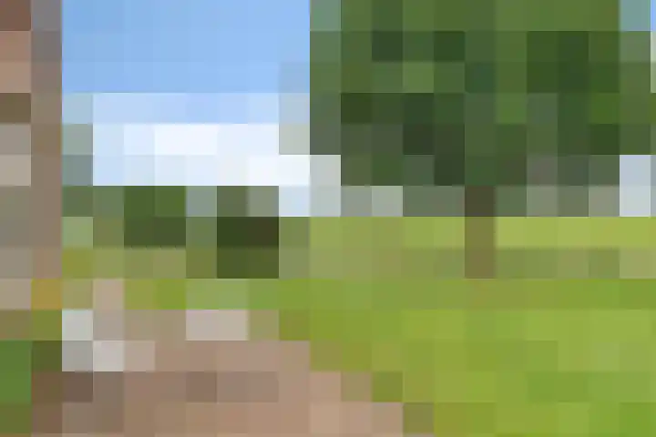 Holtrustweg 16 Rouveen thumbnail 11