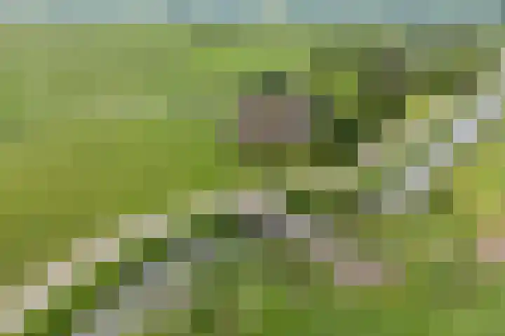 Holtrustweg 16 Rouveen thumbnail 13