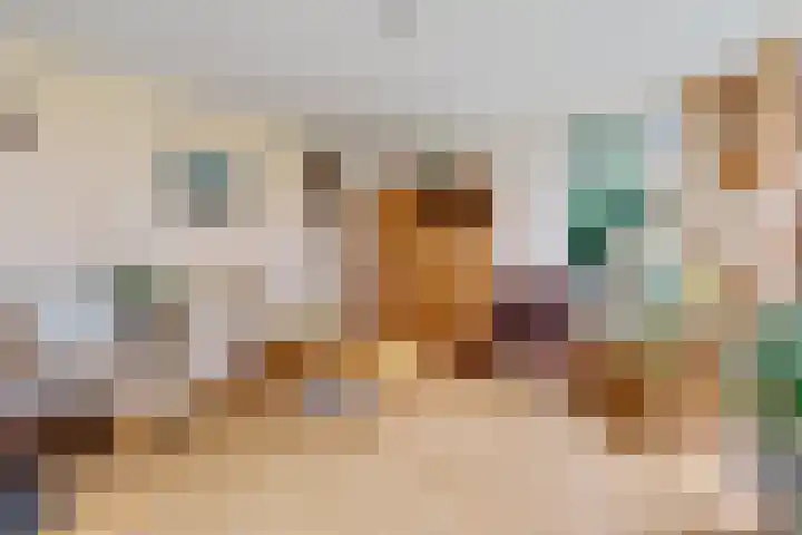 Holtrustweg 16 Rouveen thumbnail 19