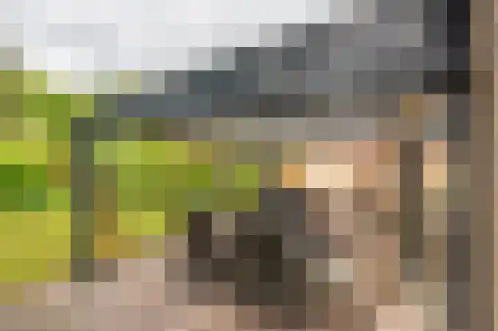Holtslagenweg 6 Eesergroen thumbnail 25