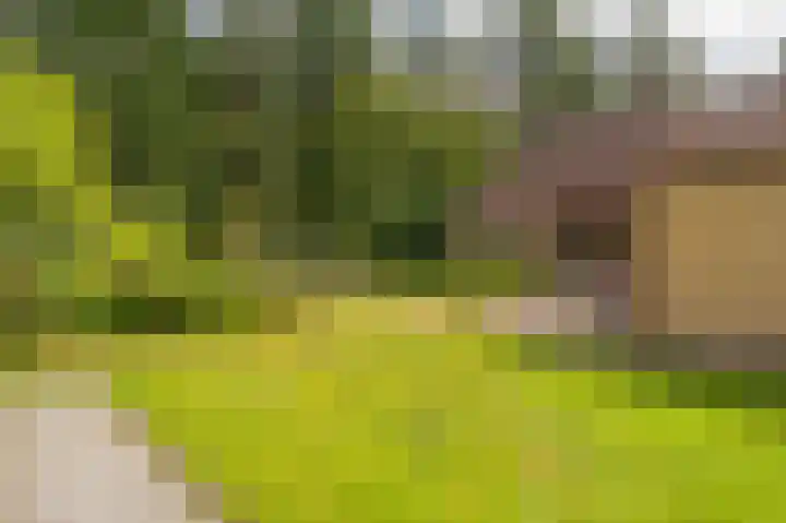 Holtslagenweg 6 Eesergroen thumbnail 28