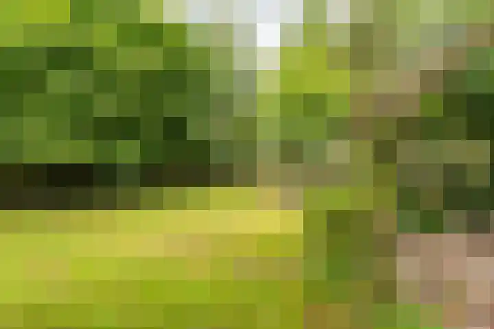 Holtslagenweg 6 Eesergroen thumbnail 30