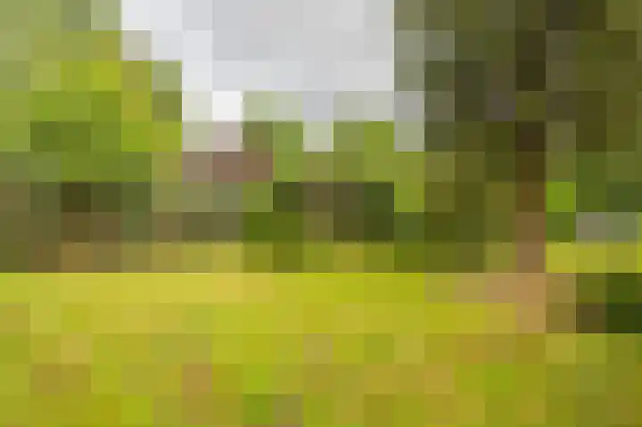 Holtslagenweg 6 Eesergroen thumbnail 31