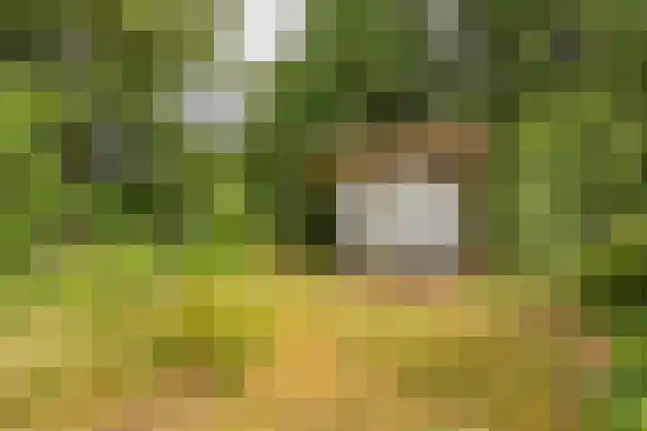 Holtslagenweg 6 Eesergroen thumbnail 32