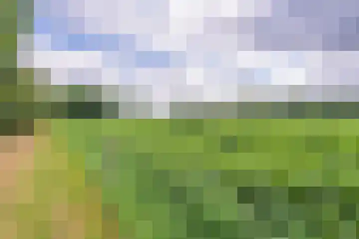 Holtslagenweg 6 Eesergroen thumbnail 38