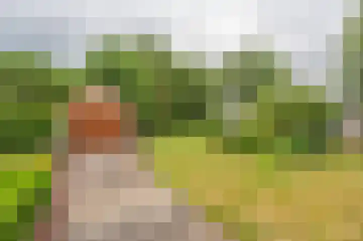 Holtslagenweg 6 Eesergroen thumbnail 39