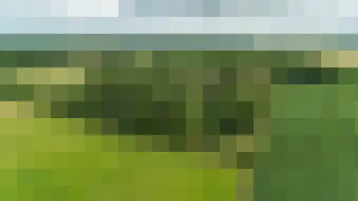 Holtslagenweg 6 Eesergroen thumbnail 4