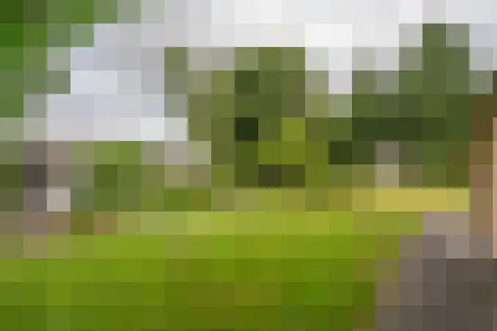 Holtslagenweg 6 Eesergroen thumbnail 40