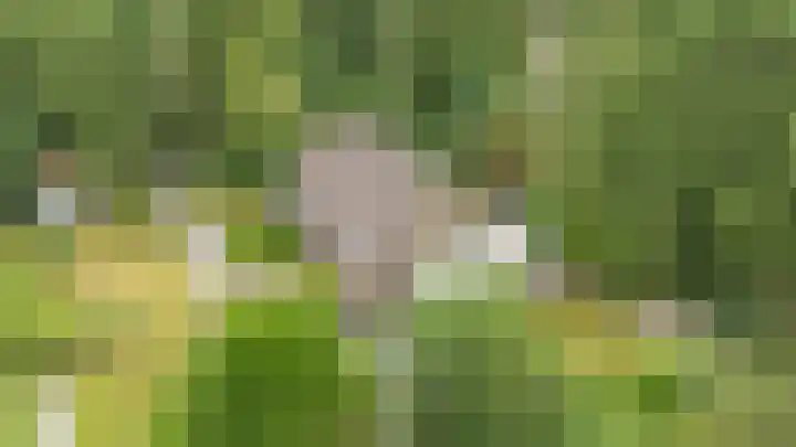 Holtslagenweg 6 Eesergroen thumbnail 46