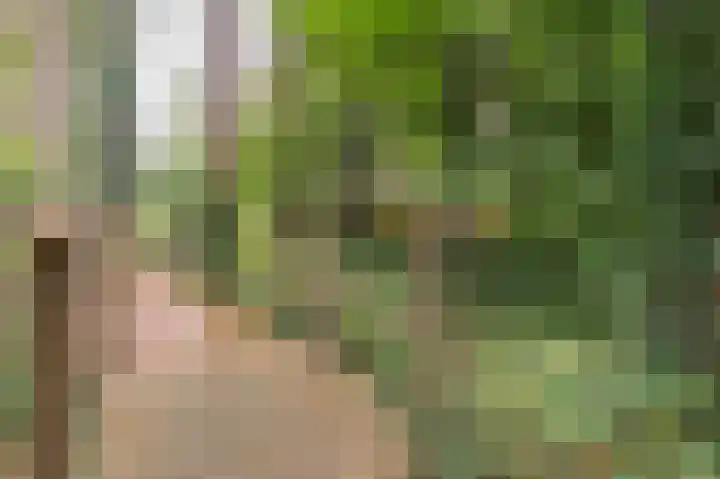 Holtslagenweg 6 Eesergroen thumbnail 5