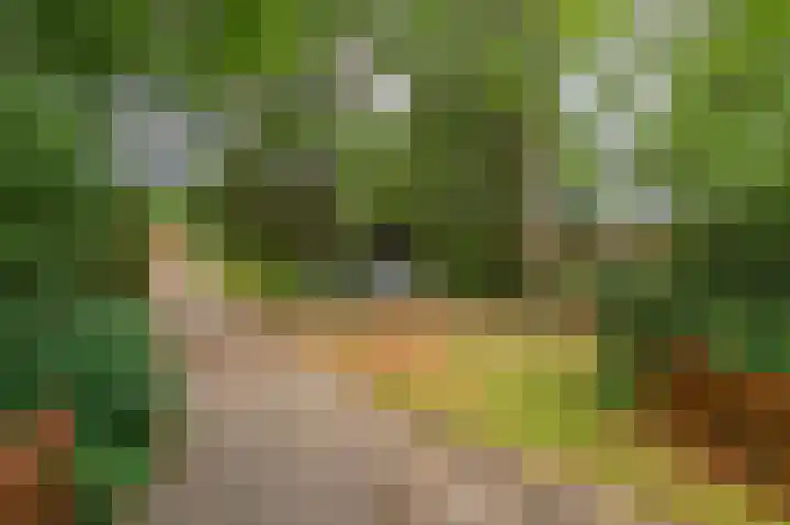 Holtslagenweg 6 Eesergroen thumbnail 6