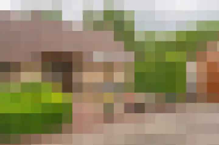 Holtslagenweg 6 Eesergroen thumbnail 7