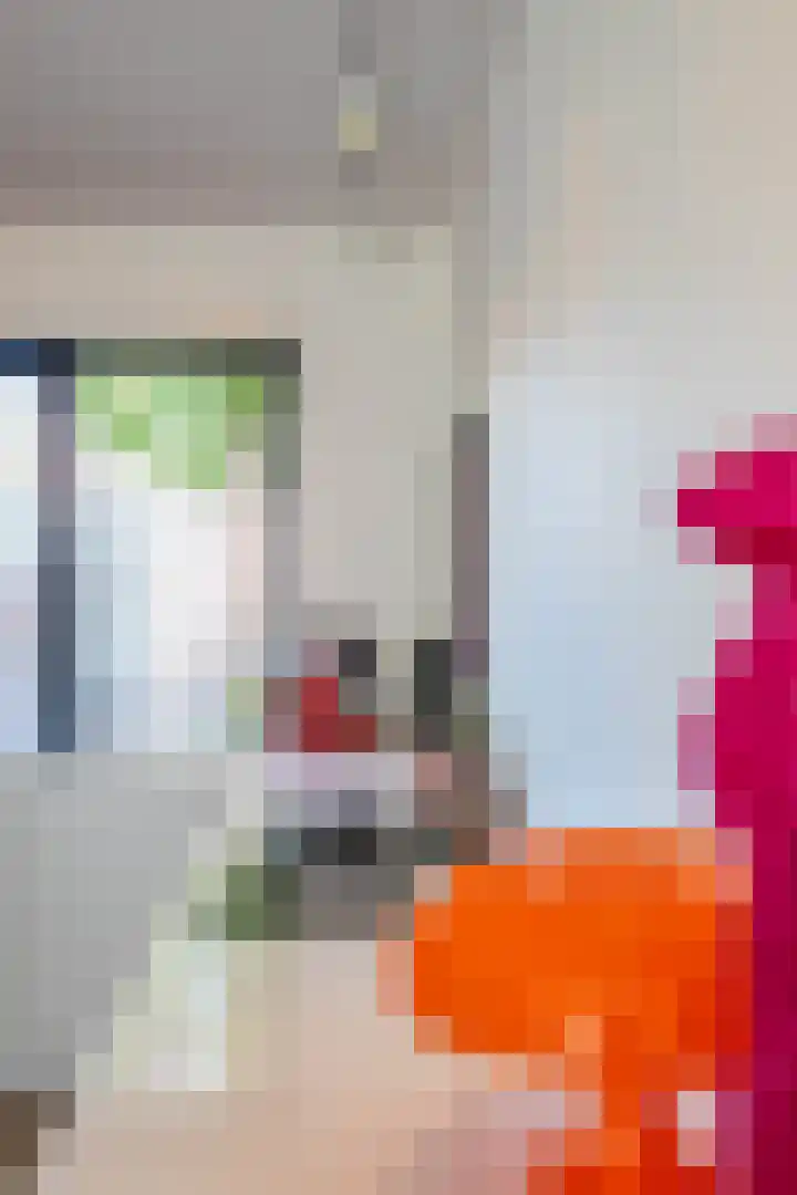 Holtstek 40 Groningen thumbnail 18