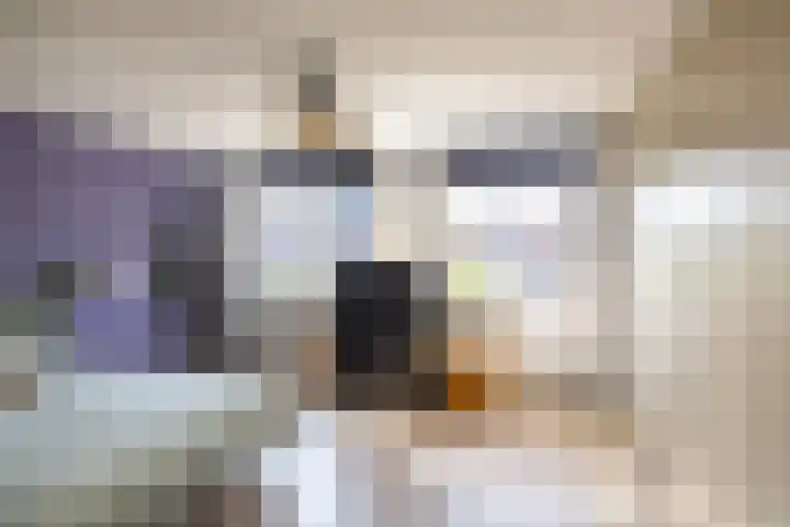 Holtstek 40 Groningen thumbnail 22