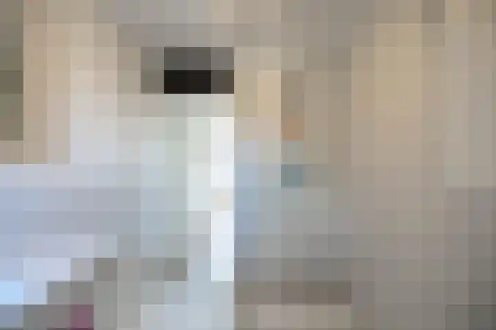 Holtstek 40 Groningen thumbnail 26