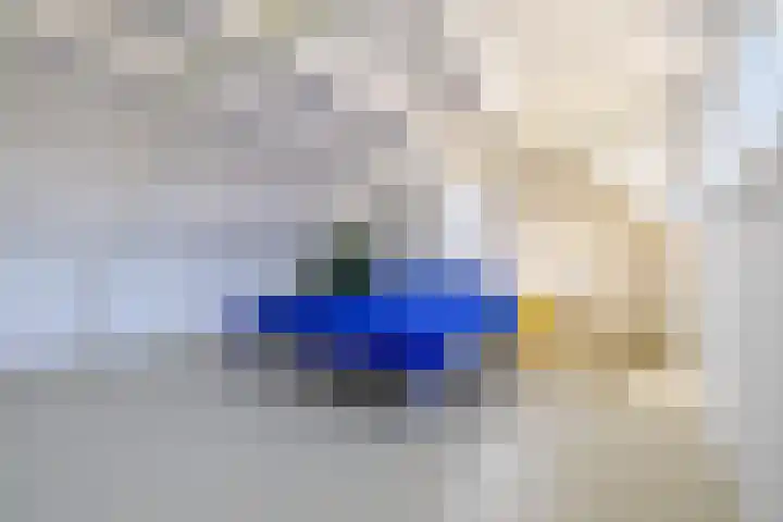 Holtstek 40 Groningen thumbnail 33