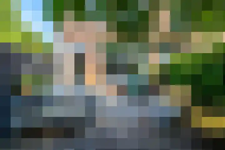 Holtstek 40 Groningen thumbnail 4
