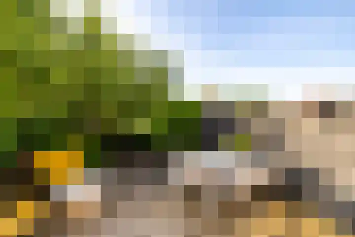 Holtstek 40 Groningen thumbnail 40