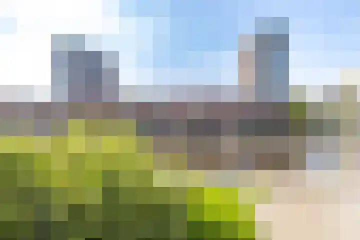 Holtstek 40 Groningen thumbnail 41
