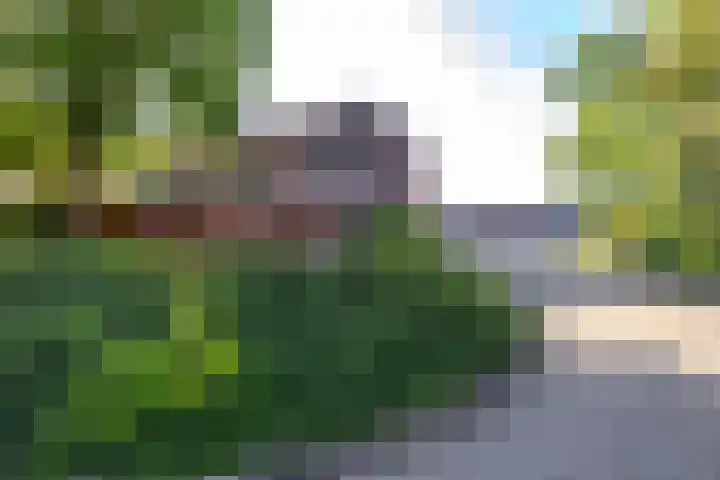 Holtstek 40 Groningen thumbnail 43