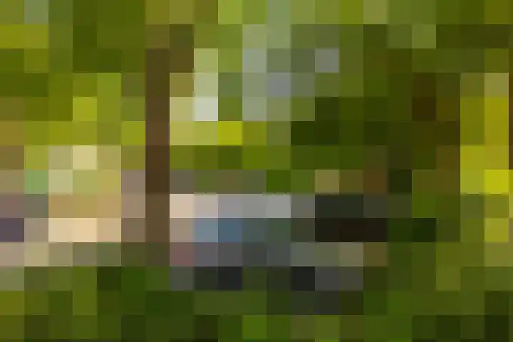 Holtstek 40 Groningen thumbnail 44