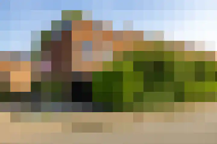 Holtstek 40 Groningen thumbnail 6
