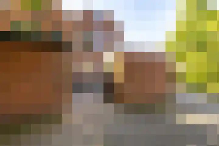 Holtstek 40 Groningen thumbnail 7