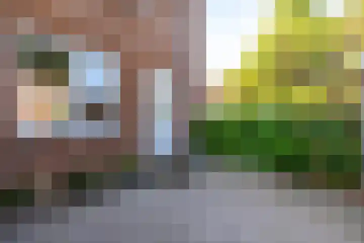 Holtstek 40 Groningen thumbnail 8